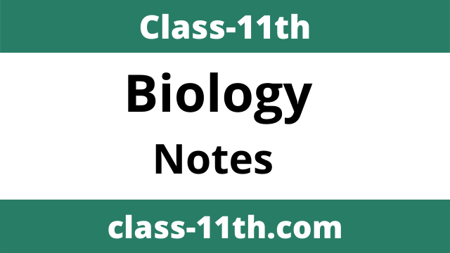 Read more about the article Class 11th Biology Notes Chapter 5